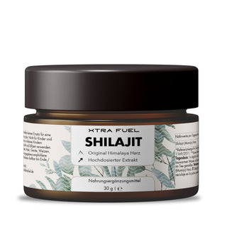 Shilajit (Mumijo) resin