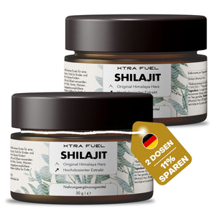 Shilajit (Mumijo) resin