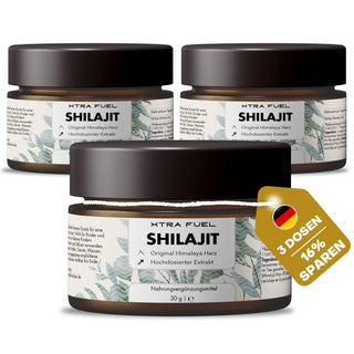 Shilajit (Mumijo) resin