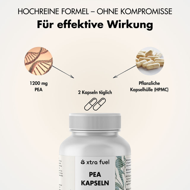 PEA Capsules - Micronized Palmitoylethanolamide - 1200mg per day